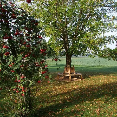 Moritz An Der Elbe 3*