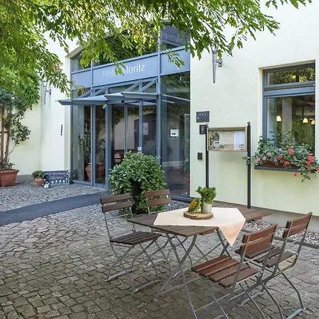 Moritz An Der Elbe