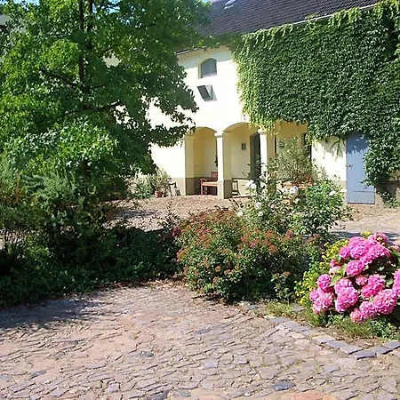 Moritz An Der Elbe