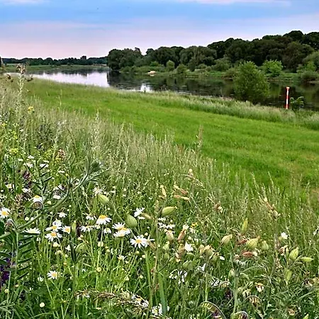 Moritz An Der Elbe