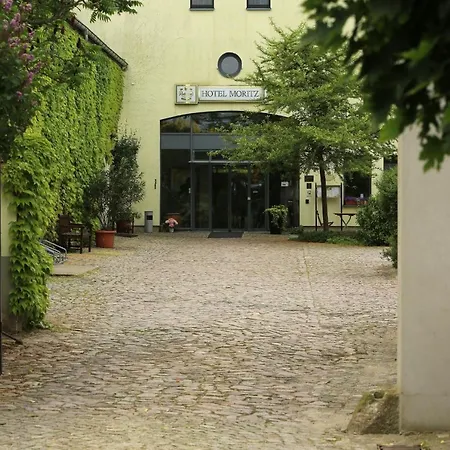 Moritz An Der Elbe