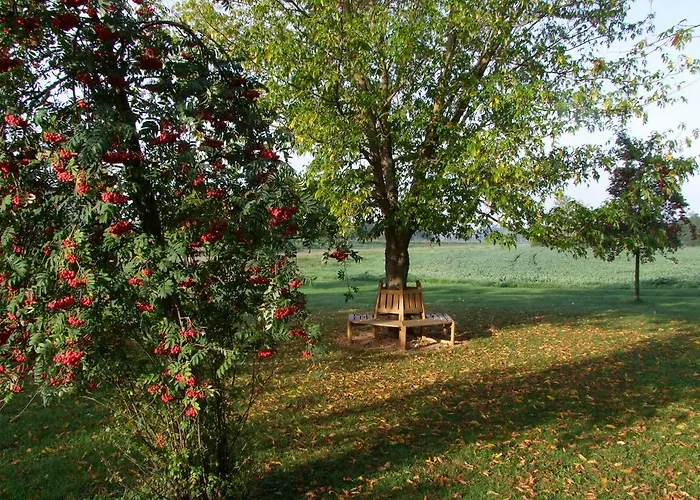 Moritz An Der Elbe 3*