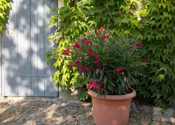 فندق Moritz An Der Elbe