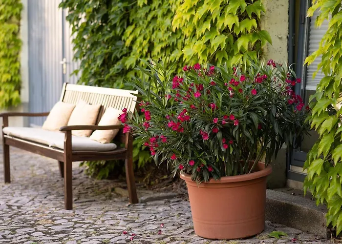 Moritz An Der Elbe 3*