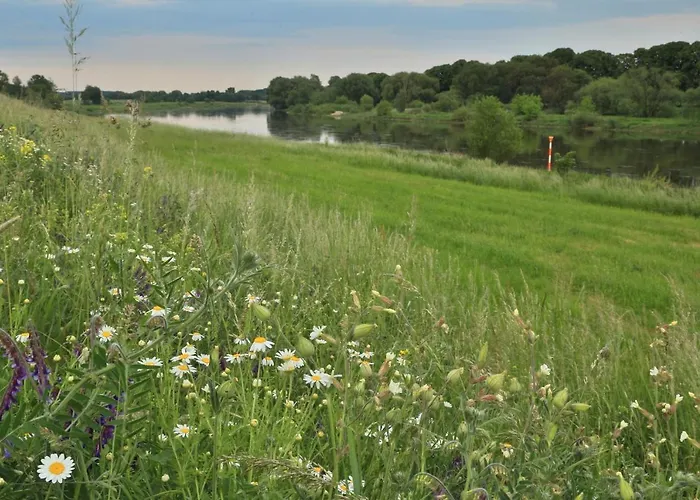 Moritz An Der Elbe فندق تْسيتهاين